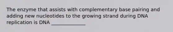 The enzyme that assists with complementary base pairing and adding new nucleotides to the growing strand during DNA replication is DNA ______________