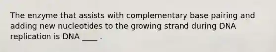 The enzyme that assists with complementary base pairing and adding new nucleotides to the growing strand during DNA replication is DNA ____ .