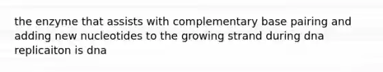 the enzyme that assists with complementary base pairing and adding new nucleotides to the growing strand during dna replicaiton is dna