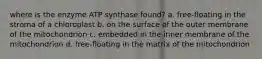 where is the enzyme ATP synthase found? a. free-floating in the stroma of a chloroplast b. on the surface of the outer membrane of the mitochondrion c. embedded in the inner membrane of the mitochondrion d. free-floating in the matrix of the mitochondrion