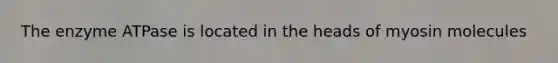 The enzyme ATPase is located in the heads of myosin molecules