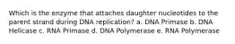 Which is the enzyme that attaches daughter nucleotides to the parent strand during DNA replication? a. DNA Primase b. DNA Helicase c. RNA Primase d. DNA Polymerase e. RNA Polymerase