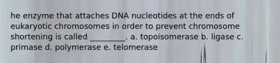 he enzyme that attaches DNA nucleotides at the ends of eukaryotic chromosomes in order to prevent chromosome shortening is called _________. a. topoisomerase b. ligase c. primase d. polymerase e. telomerase