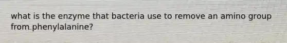 what is the enzyme that bacteria use to remove an amino group from phenylalanine?