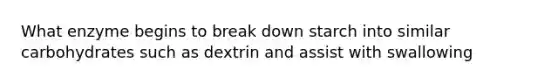 What enzyme begins to break down starch into similar carbohydrates such as dextrin and assist with swallowing