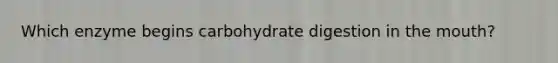 Which enzyme begins carbohydrate digestion in the mouth?