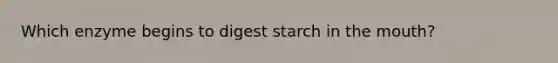 Which enzyme begins to digest starch in the mouth?