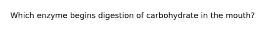 Which enzyme begins digestion of carbohydrate in the mouth?