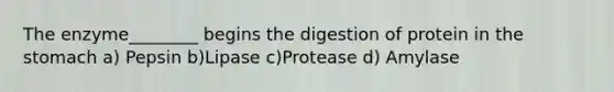 The enzyme________ begins the digestion of protein in <a href='https://www.questionai.com/knowledge/kLccSGjkt8-the-stomach' class='anchor-knowledge'>the stomach</a> a) Pepsin b)Lipase c)Protease d) Amylase