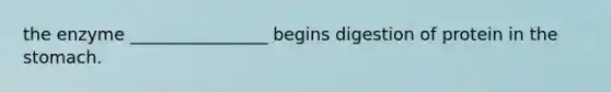 the enzyme ________________ begins digestion of protein in <a href='https://www.questionai.com/knowledge/kLccSGjkt8-the-stomach' class='anchor-knowledge'>the stomach</a>.
