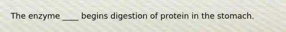 The enzyme ____ begins digestion of protein in the stomach.