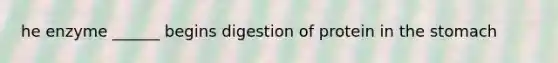 he enzyme ______ begins digestion of protein in the stomach