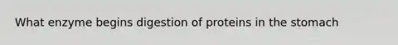 What enzyme begins digestion of proteins in <a href='https://www.questionai.com/knowledge/kLccSGjkt8-the-stomach' class='anchor-knowledge'>the stomach</a>