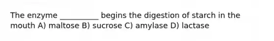 The enzyme __________ begins the digestion of starch in the mouth A) maltose B) sucrose C) amylase D) lactase