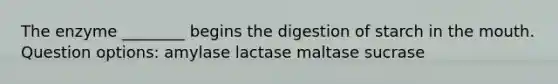 The enzyme ________ begins the digestion of starch in the mouth. Question options: amylase lactase maltase sucrase