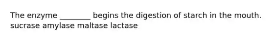 The enzyme ________ begins the digestion of starch in the mouth. sucrase amylase maltase lactase