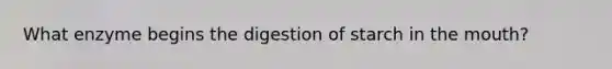 What enzyme begins the digestion of starch in the mouth?