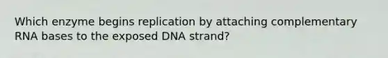 Which enzyme begins replication by attaching complementary RNA bases to the exposed DNA strand?