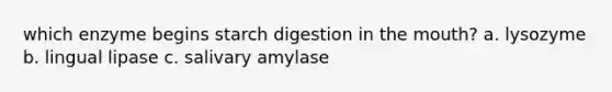 which enzyme begins starch digestion in the mouth? a. lysozyme b. lingual lipase c. salivary amylase