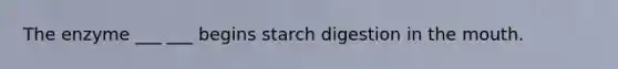 The enzyme ___ ___ begins starch digestion in the mouth.