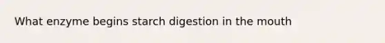 What enzyme begins starch digestion in the mouth