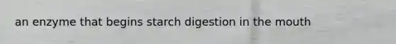 an enzyme that begins starch digestion in <a href='https://www.questionai.com/knowledge/krBoWYDU6j-the-mouth' class='anchor-knowledge'>the mouth</a>