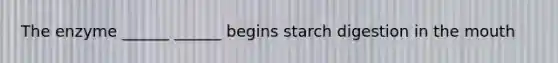 The enzyme ______ ______ begins starch digestion in the mouth