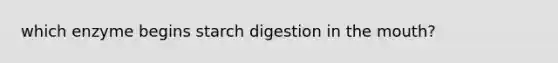 which enzyme begins starch digestion in the mouth?