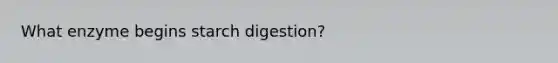 What enzyme begins starch digestion?