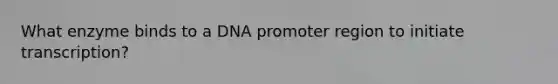 What enzyme binds to a DNA promoter region to initiate transcription?