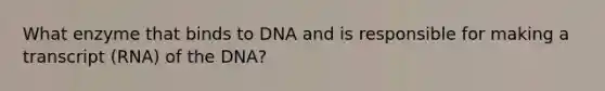 What enzyme that binds to DNA and is responsible for making a transcript (RNA) of the DNA?