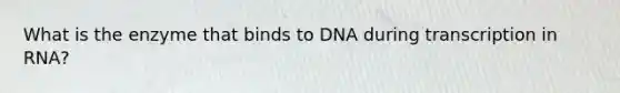 What is the enzyme that binds to DNA during transcription in RNA?