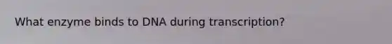 What enzyme binds to DNA during transcription?