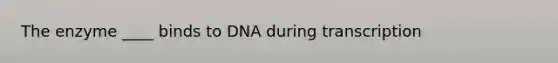 The enzyme ____ binds to DNA during transcription