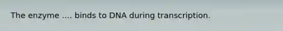 The enzyme .... binds to DNA during transcription.