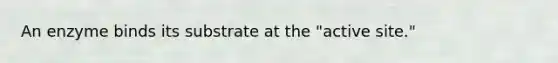 An enzyme binds its substrate at the "active site."