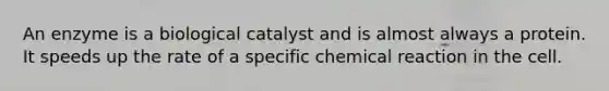 An enzyme is a biological catalyst and is almost always a protein. It speeds up the rate of a specific chemical reaction in the cell.