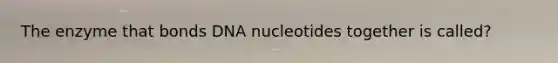 The enzyme that bonds DNA nucleotides together is called?