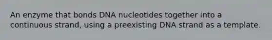 An enzyme that bonds DNA nucleotides together into a continuous strand, using a preexisting DNA strand as a template.