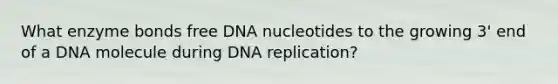 What enzyme bonds free DNA nucleotides to the growing 3' end of a DNA molecule during <a href='https://www.questionai.com/knowledge/kofV2VQU2J-dna-replication' class='anchor-knowledge'>dna replication</a>?