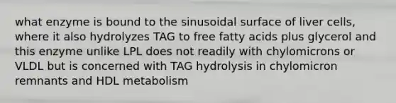 what enzyme is bound to the sinusoidal surface of liver cells, where it also hydrolyzes TAG to free fatty acids plus glycerol and this enzyme unlike LPL does not readily with chylomicrons or VLDL but is concerned with TAG hydrolysis in chylomicron remnants and HDL metabolism