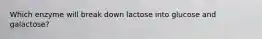 Which enzyme will break down lactose into glucose and galactose?