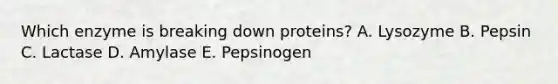 Which enzyme is breaking down proteins? A. Lysozyme B. Pepsin C. Lactase D. Amylase E. Pepsinogen