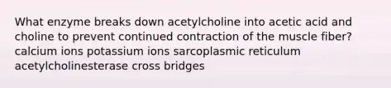 What enzyme breaks down acetylcholine into acetic acid and choline to prevent continued contraction of the muscle fiber? calcium ions potassium ions sarcoplasmic reticulum acetylcholinesterase cross bridges