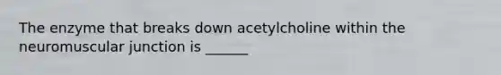 The enzyme that breaks down acetylcholine within the neuromuscular junction is ______