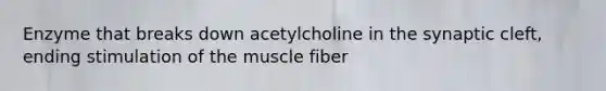 Enzyme that breaks down acetylcholine in the synaptic cleft, ending stimulation of the muscle fiber