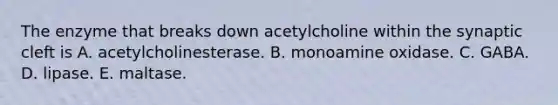 The enzyme that breaks down acetylcholine within the synaptic cleft is A. acetylcholinesterase. B. monoamine oxidase. C. GABA. D. lipase. E. maltase.