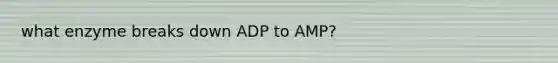 what enzyme breaks down ADP to AMP?