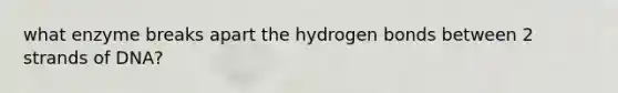 what enzyme breaks apart the hydrogen bonds between 2 strands of DNA?