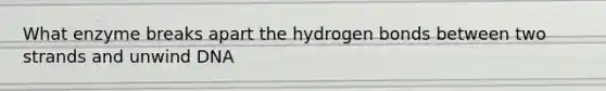 What enzyme breaks apart the hydrogen bonds between two strands and unwind DNA